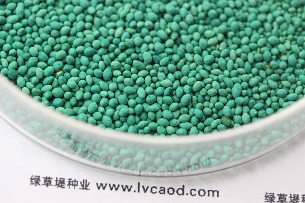 狗牙根草籽怎么播種 狗牙根草籽怎么播種