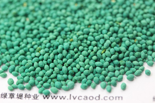 狗牙根草籽怎么播種 狗牙根草籽怎么播種