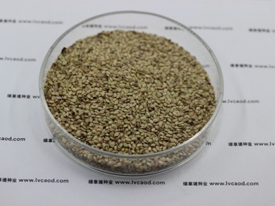 百喜草種子種植方法