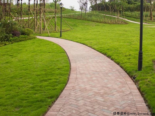 混播草坪的施工工藝，種植方法