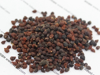 藍(lán)花鳶尾種子