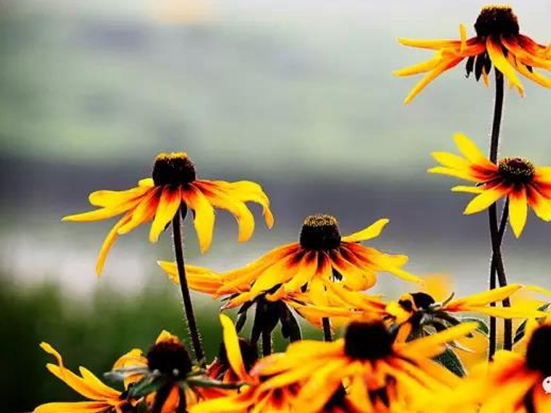 1589782476902776.jpg 微信圖片_20200518135303.jpg