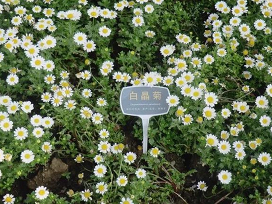 1590110715599998.jpg 微信圖片_20200522091923.jpg