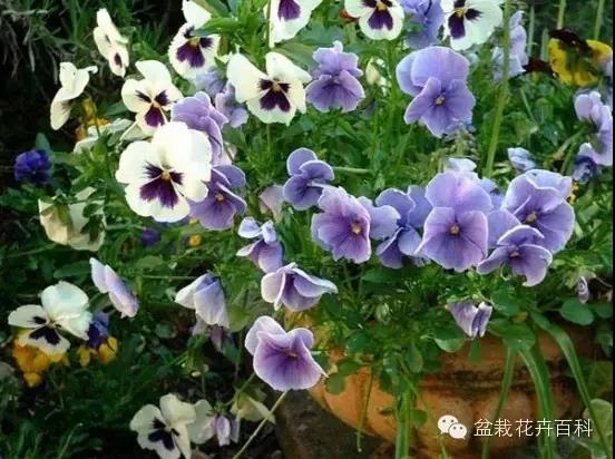 1590398439136482.jpg 微信圖片_20200521161953.jpg