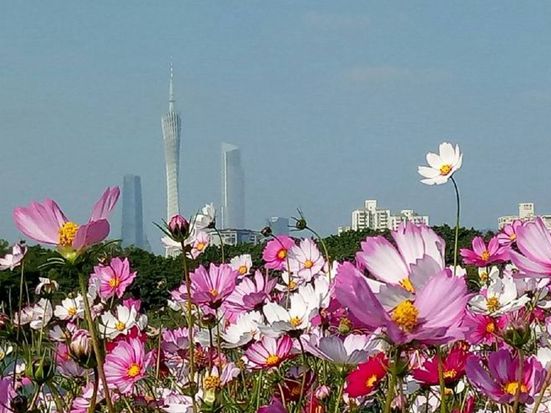 1590736300719609.jpg 微信圖片_20200516144606.jpg