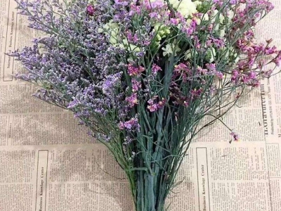 情人草的花語是什么？代表著什么？