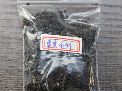 常夏石竹代表著什么意義？常夏石竹花語是什么？