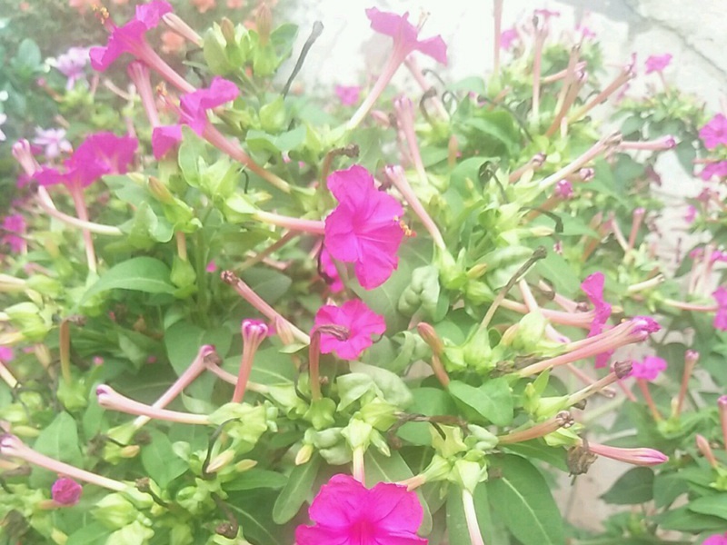 1600857072897157.jpg 1.jpg