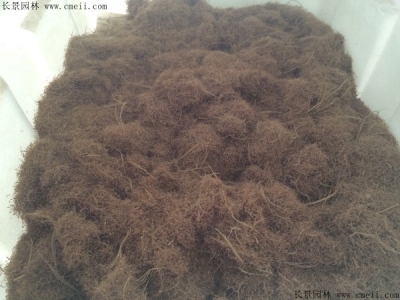 糖蜜草種子價(jià)格多少錢一斤