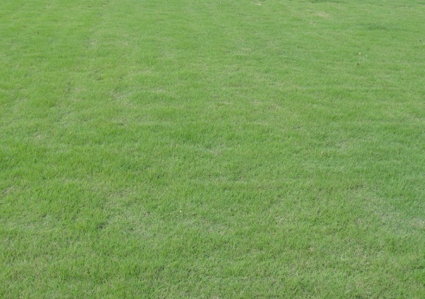 1627826110258142.jpg