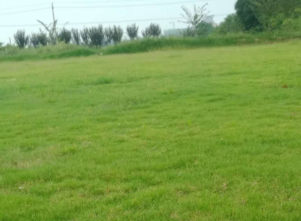 1628080720770052.jpg