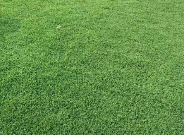 1628080722610081.jpg