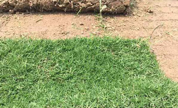 1628325719901478.jpg image.jpg