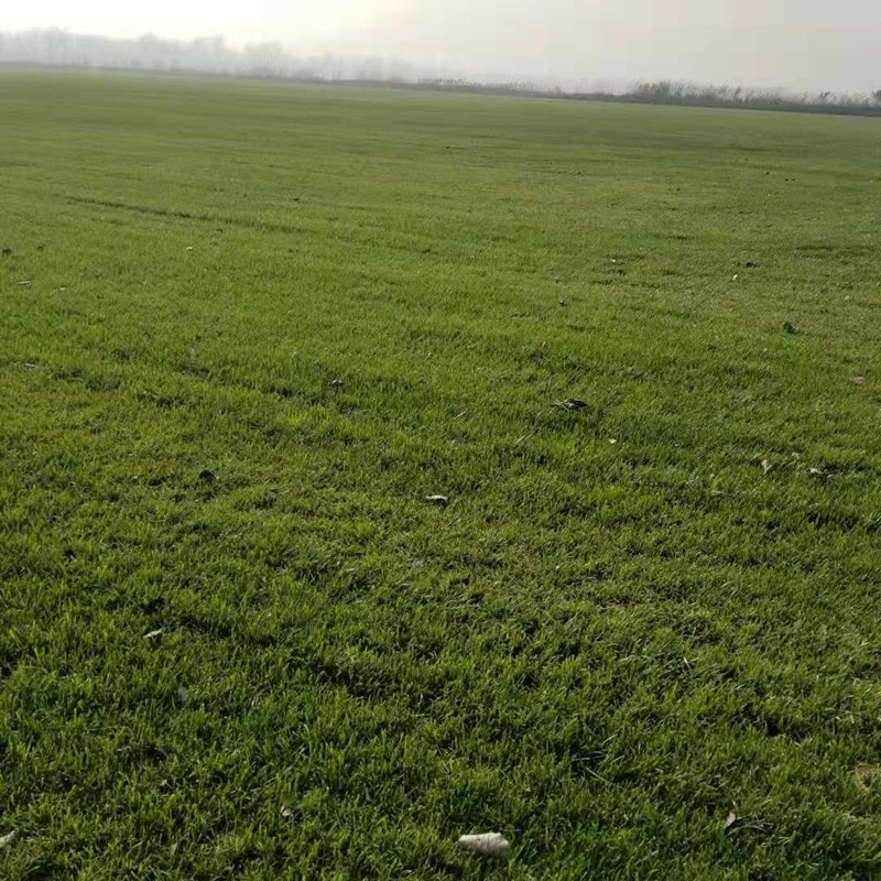 1629031930413016.jpg