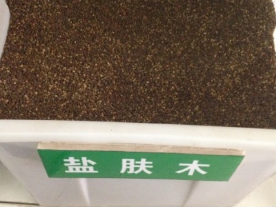 鹽膚木種子的播種季節(jié)？