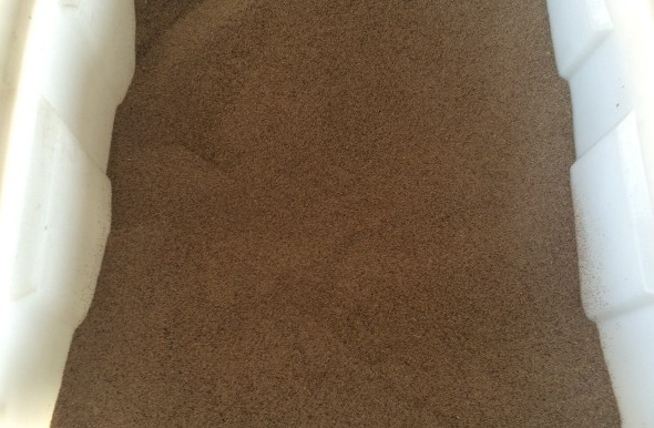 1630483621782103.jpg image.jpg