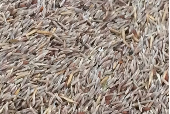 1630483627755019.jpg image.jpg