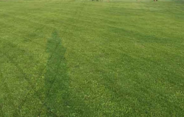 1632049854910732.jpg image.jpg