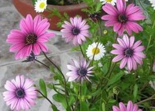 1632131517807660.jpg 1632131517807660.jpg