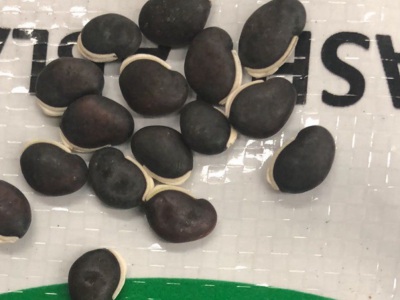 葛藤種子1斤有多少粒？