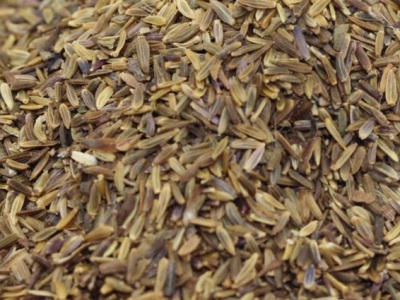 荷蘭菊種子需要泡水嗎？