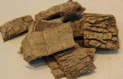 杜仲種子千粒重