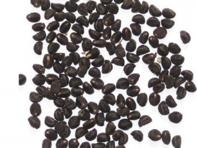 牽?；ǚN子泡水開(kāi)裂