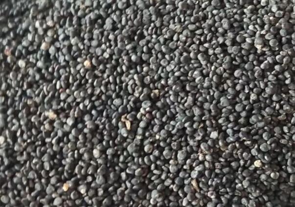 1646131487748318.jpg 9.jpg