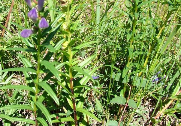 1646131512463514.jpg 9+.jpg