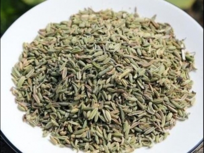 茴香種子什么季節(jié)播種嗎?