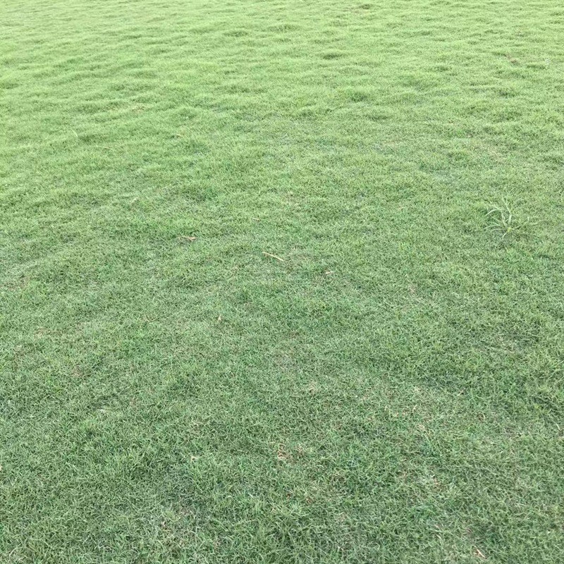 1657360426284545.jpg