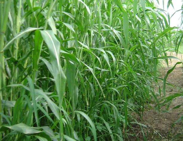 1661689908663534.jpg 7+.jpg