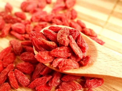 枸杞種子幾天發(fā)芽？