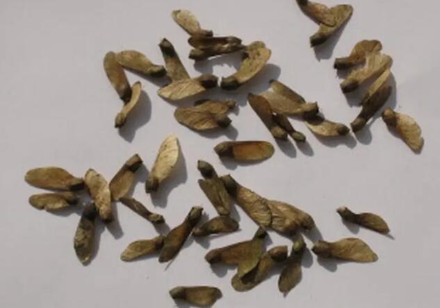 1671464160375931.jpg 4.jpg