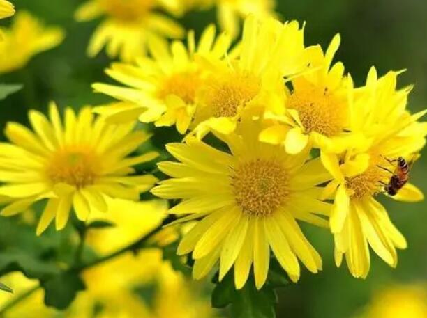 1671545868527208.jpg 6.jpg