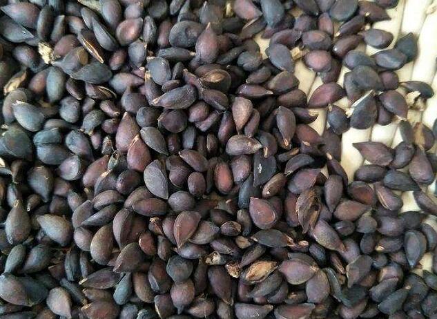 1671546541468323.jpg 4.jpg