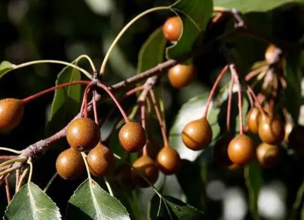 1671546554329572.jpg 4+.jpg