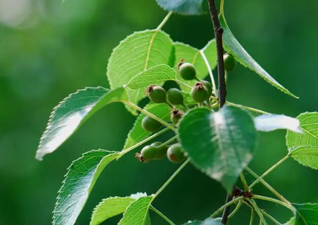 1671546565177102.jpg 4++.jpg