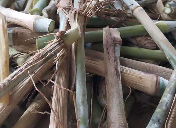 1672477113778793.jpg 9++.jpg