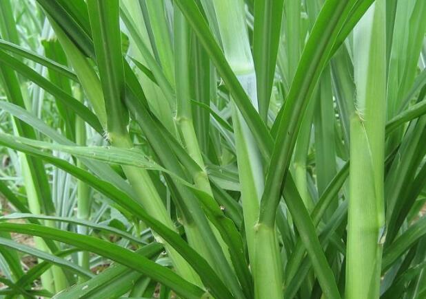 1672477127131199.jpg 9.jpg