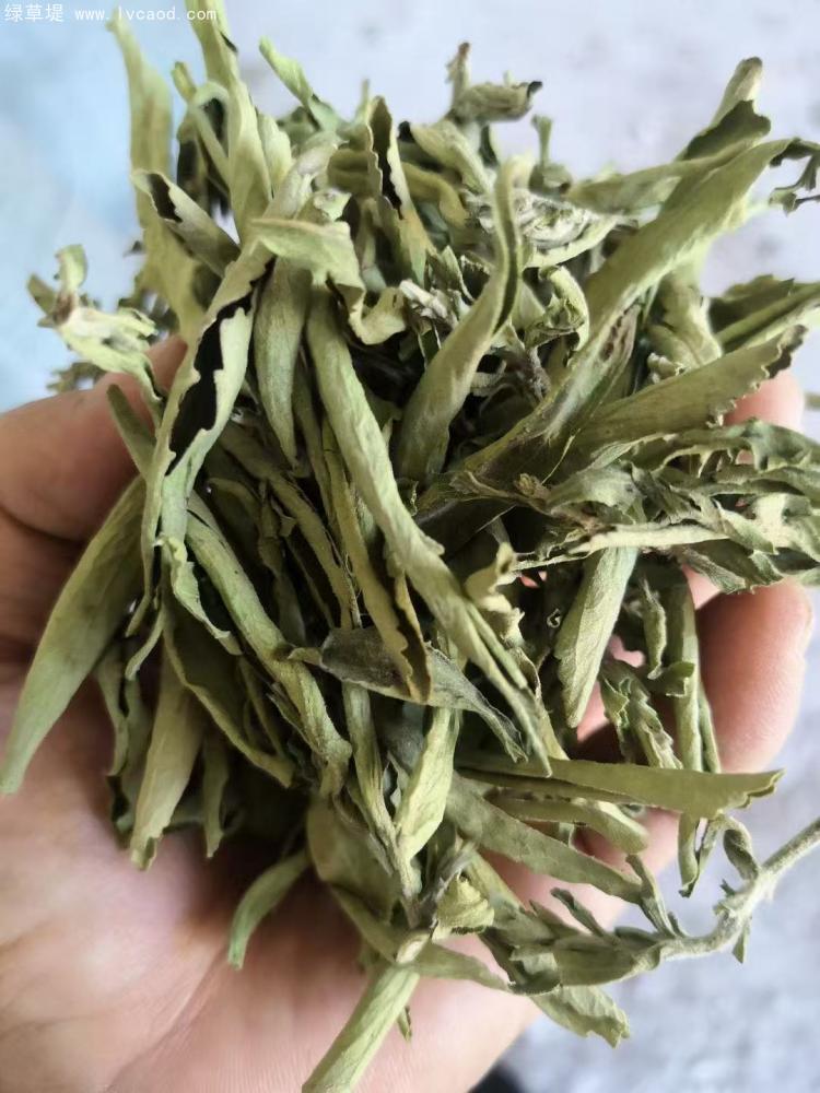 甜葉菊制干葉片 甜葉菊制干葉片